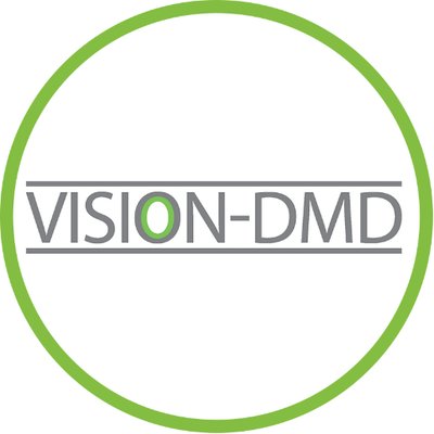 Vision DMD logo